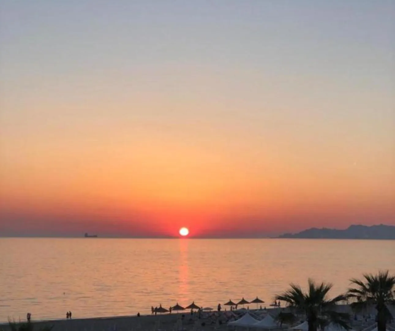 Cheap 2+1 Apartment, 10 Meters From Beach contacts